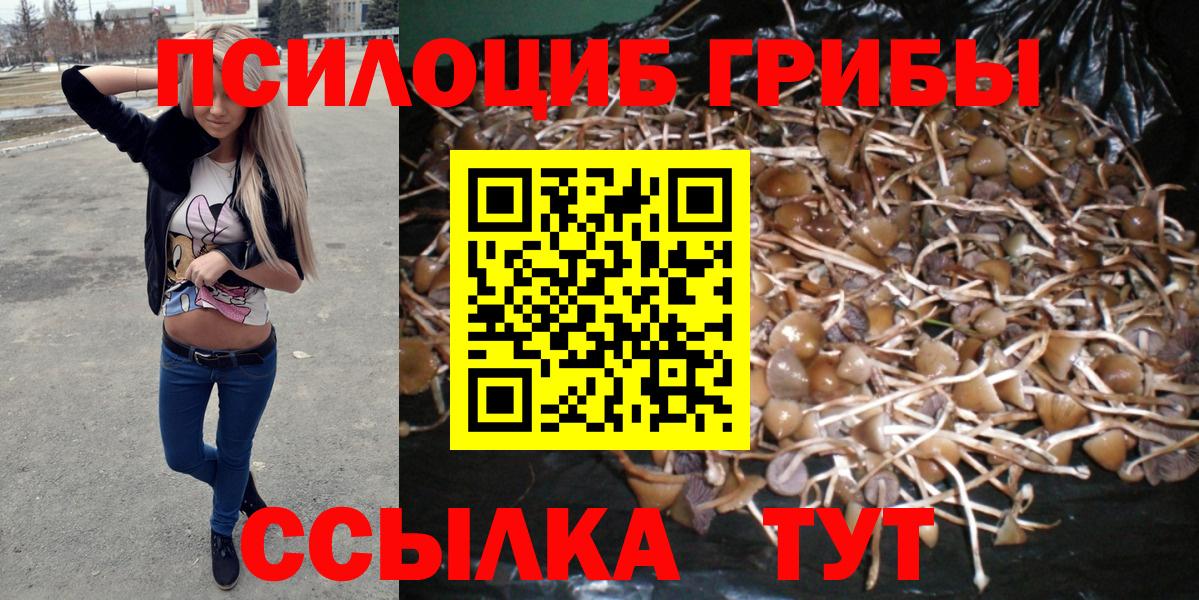 Псилоцибиновые грибы MAGIC MUSHROOMS Ивантеевка